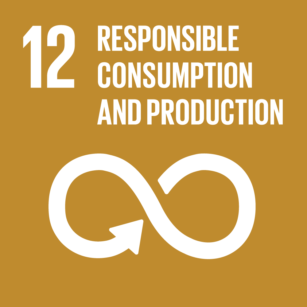 SDG 12 badge